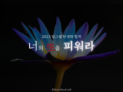 2023 밀그램 탄생화 합작 모집