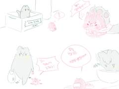 햄스터가 업어키운 고양이