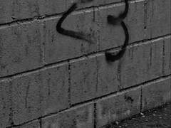 moonstruck love (1/3)