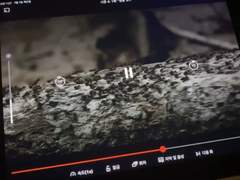 워킹데드 속 개미