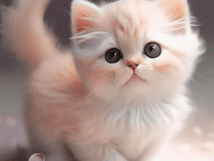 김가네 막내고양이 썰 6