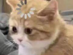 라이즈 막내공주 3