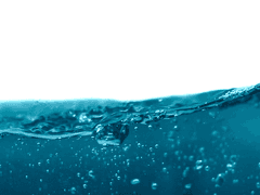 코오테 제라 프로필