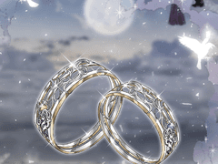 比翼連理(비익연리)