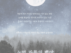 눈먼 자들의 백야