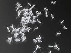 2023.12.02 군집 네거티브