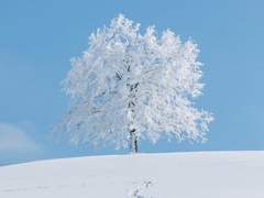 내 곁을 지켜줄 나의 다정