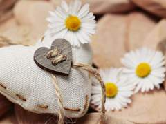 [블랙배저] 주저리 백업1