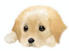 [이곤조영] 앙킁한 강아지 3