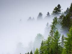 빛을 지나 당신의 곁에