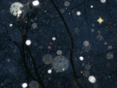 【대만태섭】 아이폰 배경화면 배포2