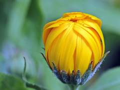 인생을 바꾸는 작은 습관 만들기