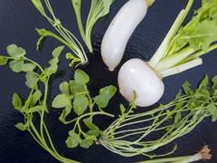 덕규대협 - 따끈따끈 죽