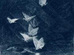 < 고정틀 메뉴판 >