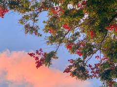 썰 커미션 샘플(179)