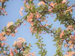 썰 커미션 샘플(175)