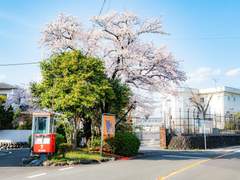 썰 커미션 샘플(170)