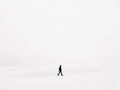 1. 펭귄과 눈사람