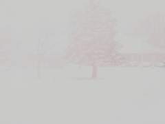 [하쿠카이] 雪