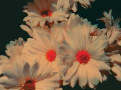 난 까다롭고 힘든 아이라