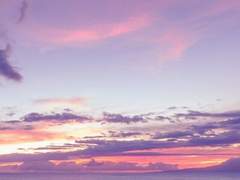 무라사키 소우타/17세/인간