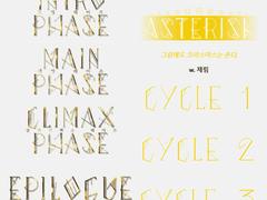 인세인 애스터리스크 자료 배포