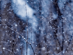 [루이마후]첫눈