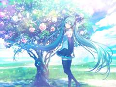 [프로세카] 캐릭터 일러스트 출연 횟수 분석