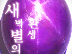 [데못죽] 새벽별의 환생 : 공지