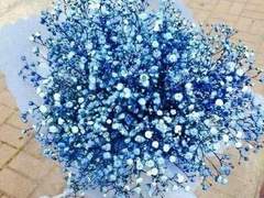 (고죠유지)하얀 잎사귀와 분홍 정원사 2