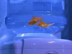 07. 미남은 잠꾸러기