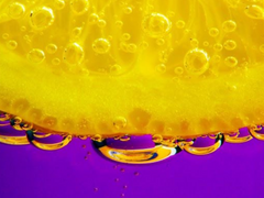 레몬을 믿으세요? 0