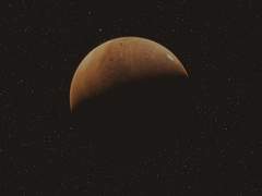 [아레타나] in the shade