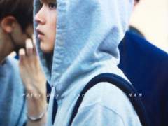 곰인형 탈을 쓴 호랑이