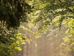 우리에게 계속해서 새로운 것들이 가득했으면 좋겠어