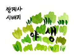 작게 걷기 (5) 하동의 강아지는 기백이 대단하구나