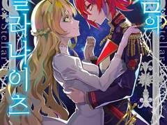 [리뷰] 은검의 스텔라나이츠