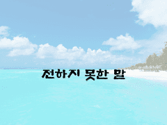 전하지 못한 말