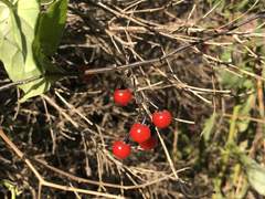 4. 삶이란 어찌나 힘들고 버거운 것인지