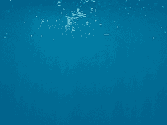 [현제유진] 포말 (1)