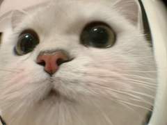 라이즈 막내공주 4