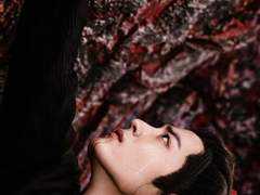 진정령 연성, 탐닉(耽溺) 9