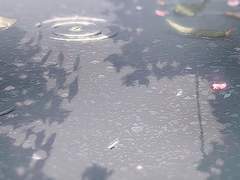 소병청명, 당신의 경계 1