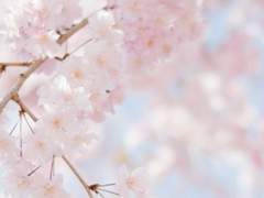 We will be happy after all night