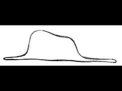 코끼리는 생각하지 마