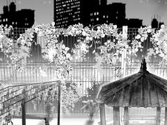 월하의 꽃 - 캄파뉼라와 함께 춤을