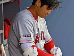 뭘 잘했다고 울어