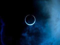 달 아래 울음소리.