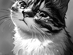 죽고 싶은 고양이와 다정한 집사님