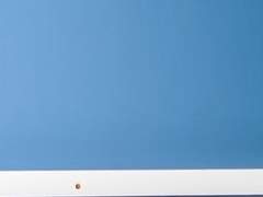 잇따른 불운과 무기력 속에서도